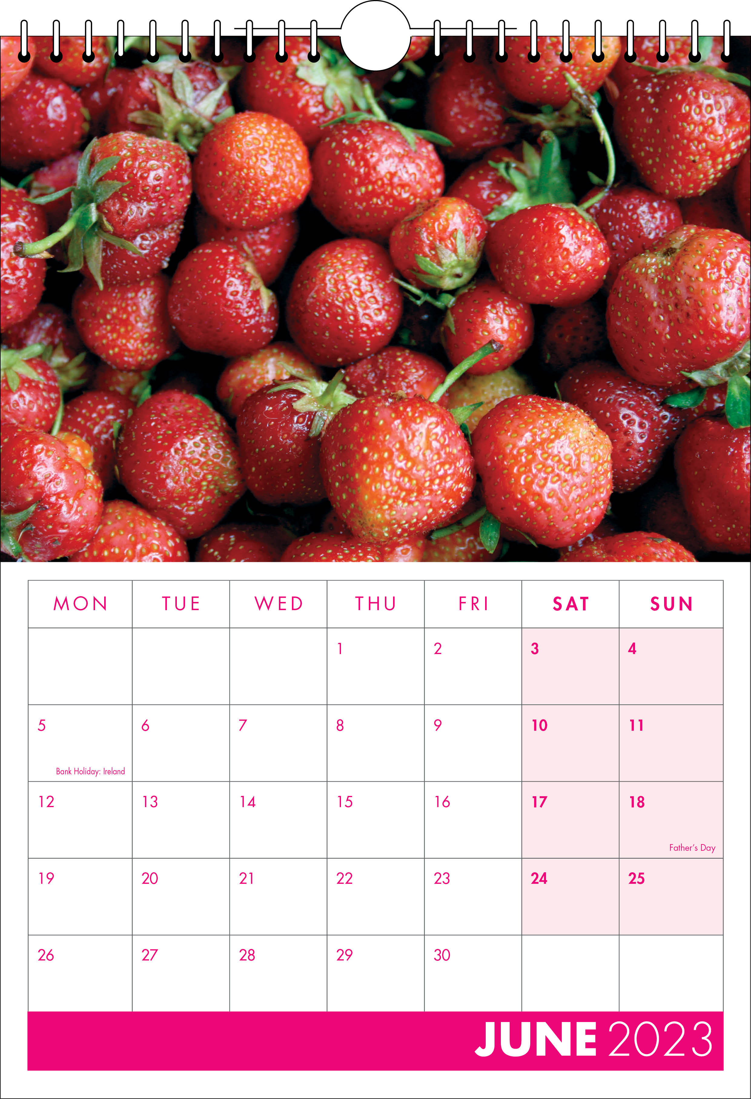 Picture of Spiral Calendar S18 Hot Pink