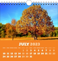 Picture of Spiral Calendar Q19 Orange