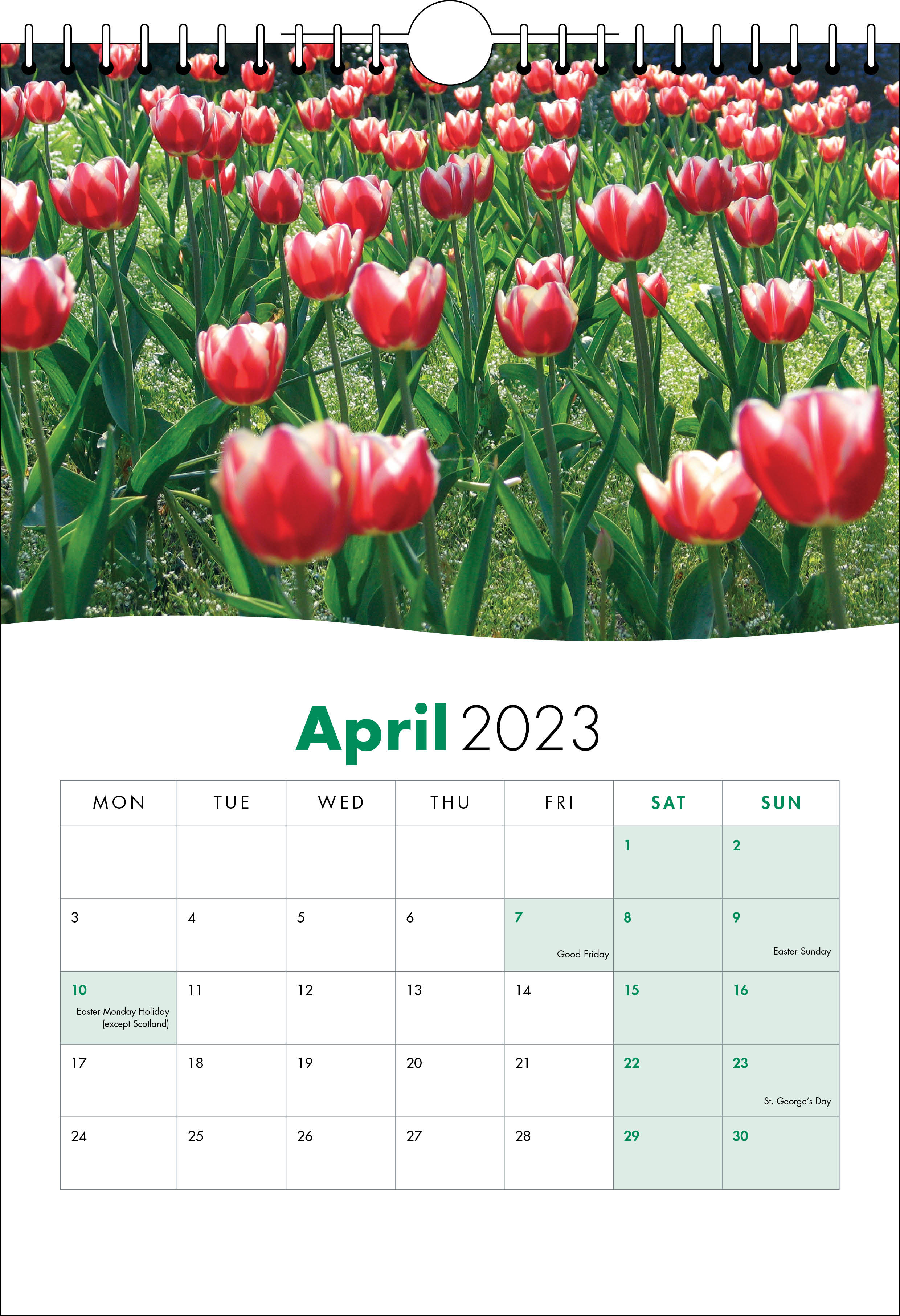 Picture of Spiral Calendar S21 Green