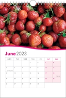 Picture of Spiral Calendar S01 Hot Pink