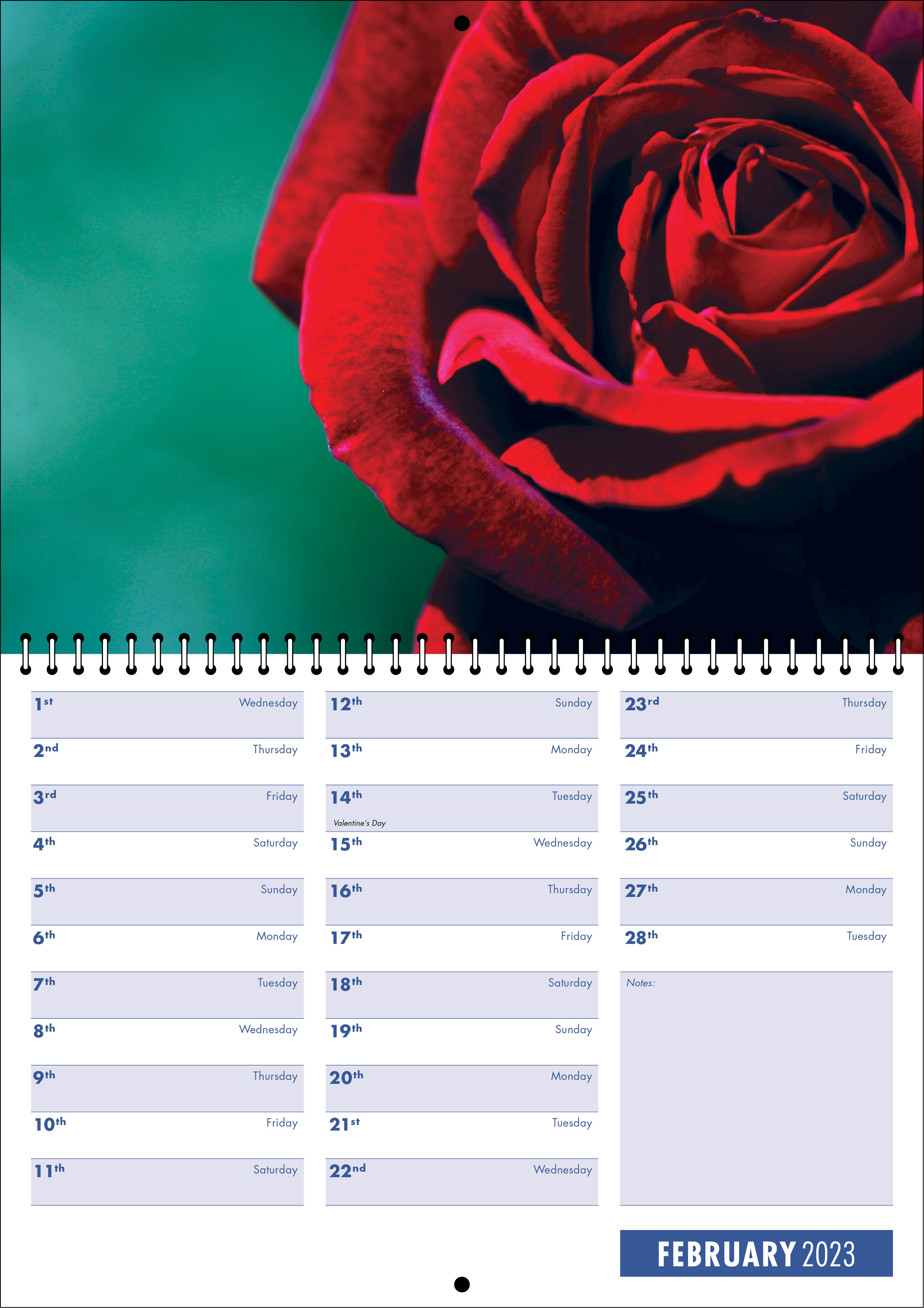 Picture of Spiral Booklet Calendar F04 Blue