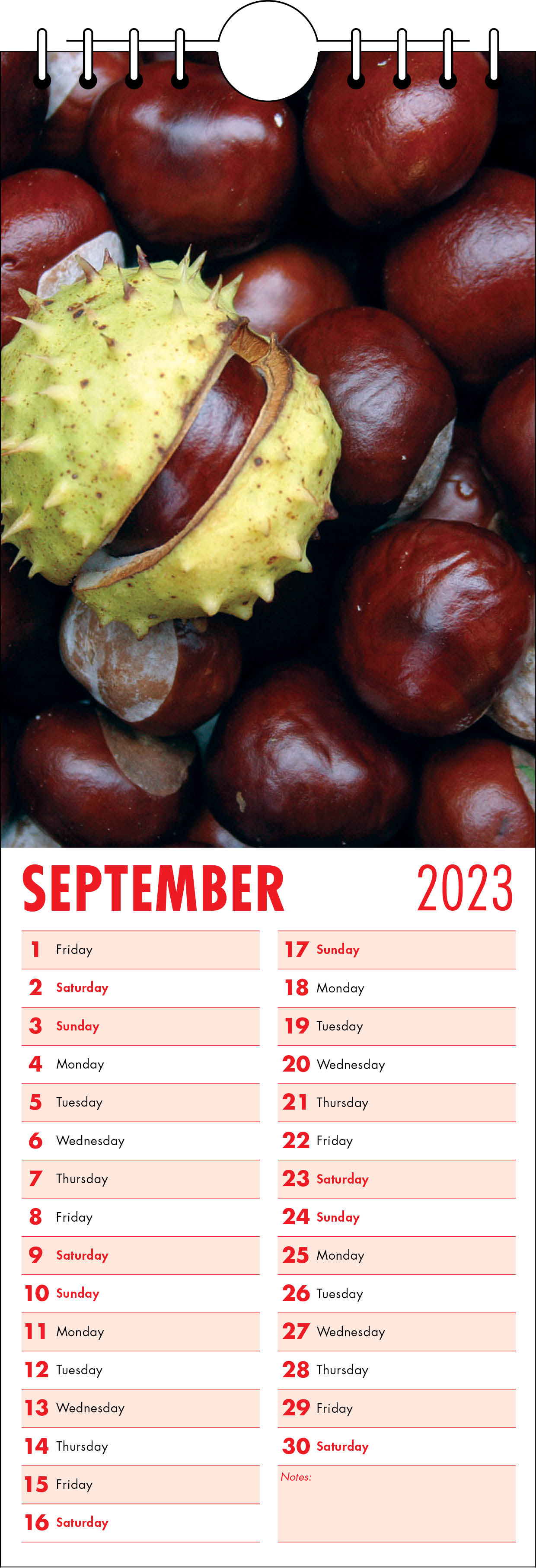 Picture of Kitchen Calendar K01 Red