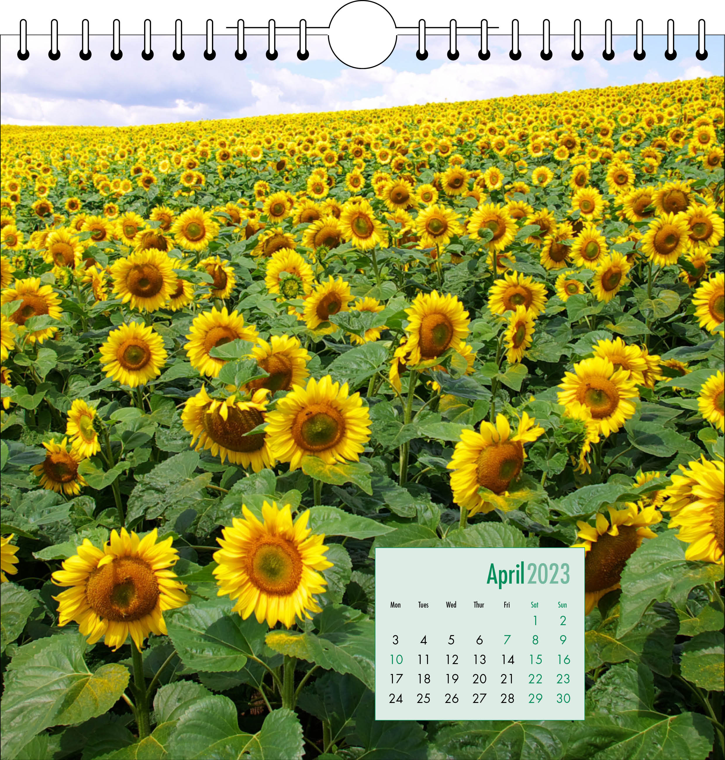Picture of Spiral Calendar Q12 Green