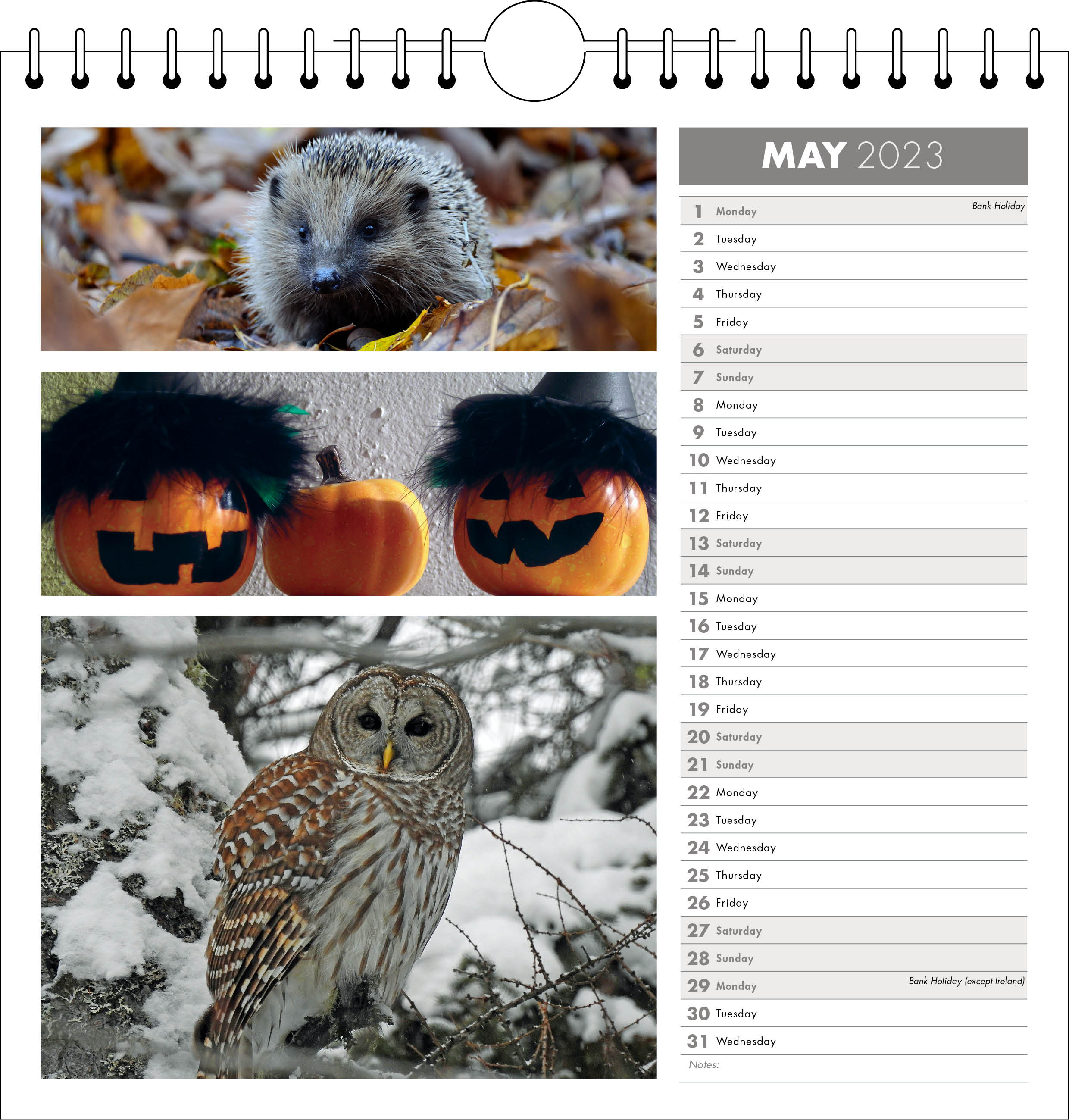 Picture of Spiral Calendar Q20 Grey