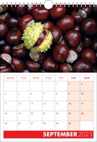 Picture of Spiral Calendar S18 Red