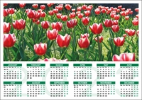 Picture of Yearplanner W04 Green