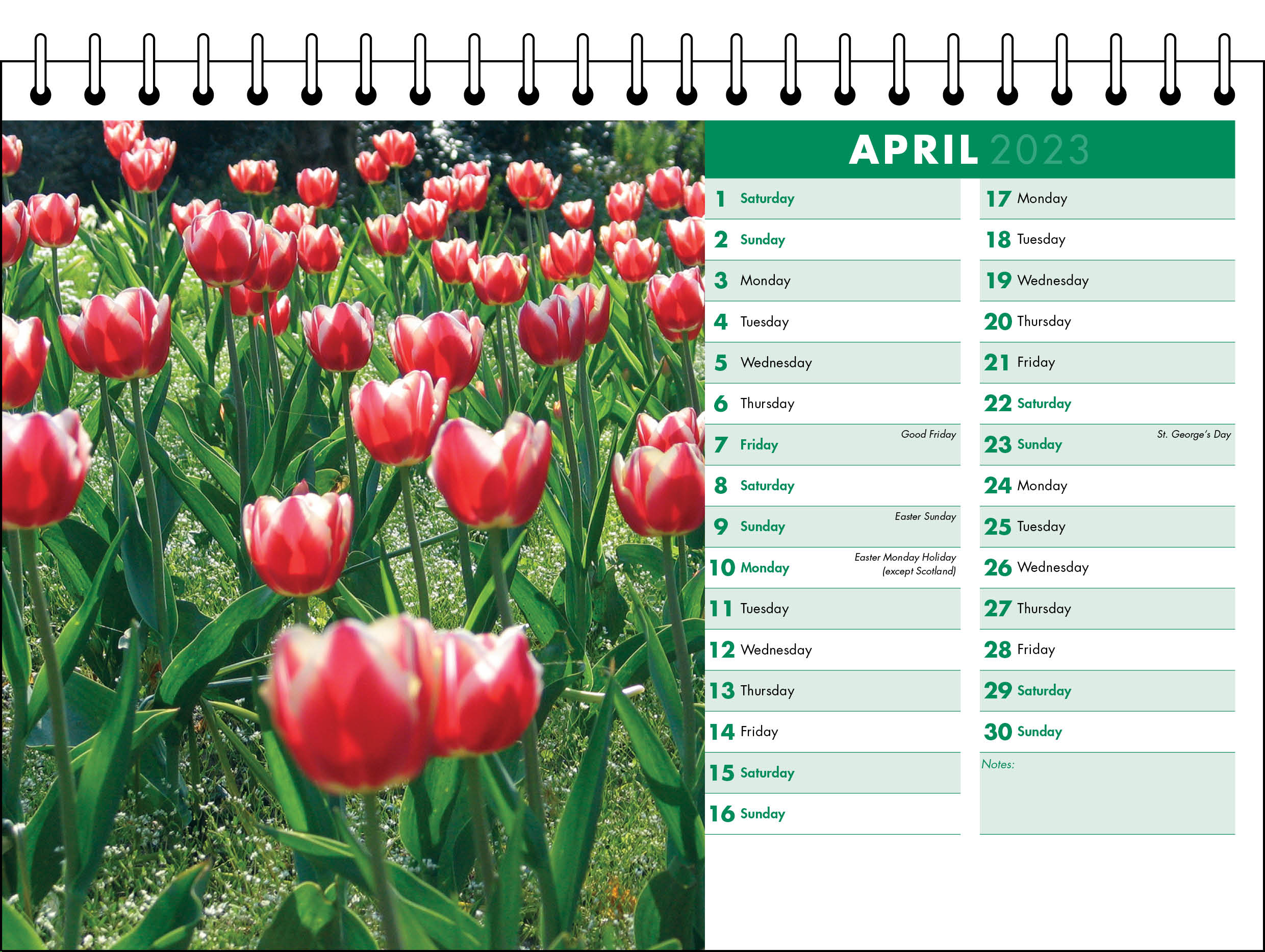 Picture of Desk Calendar D07 Green