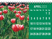 Picture of Desk Calendar D08 Green