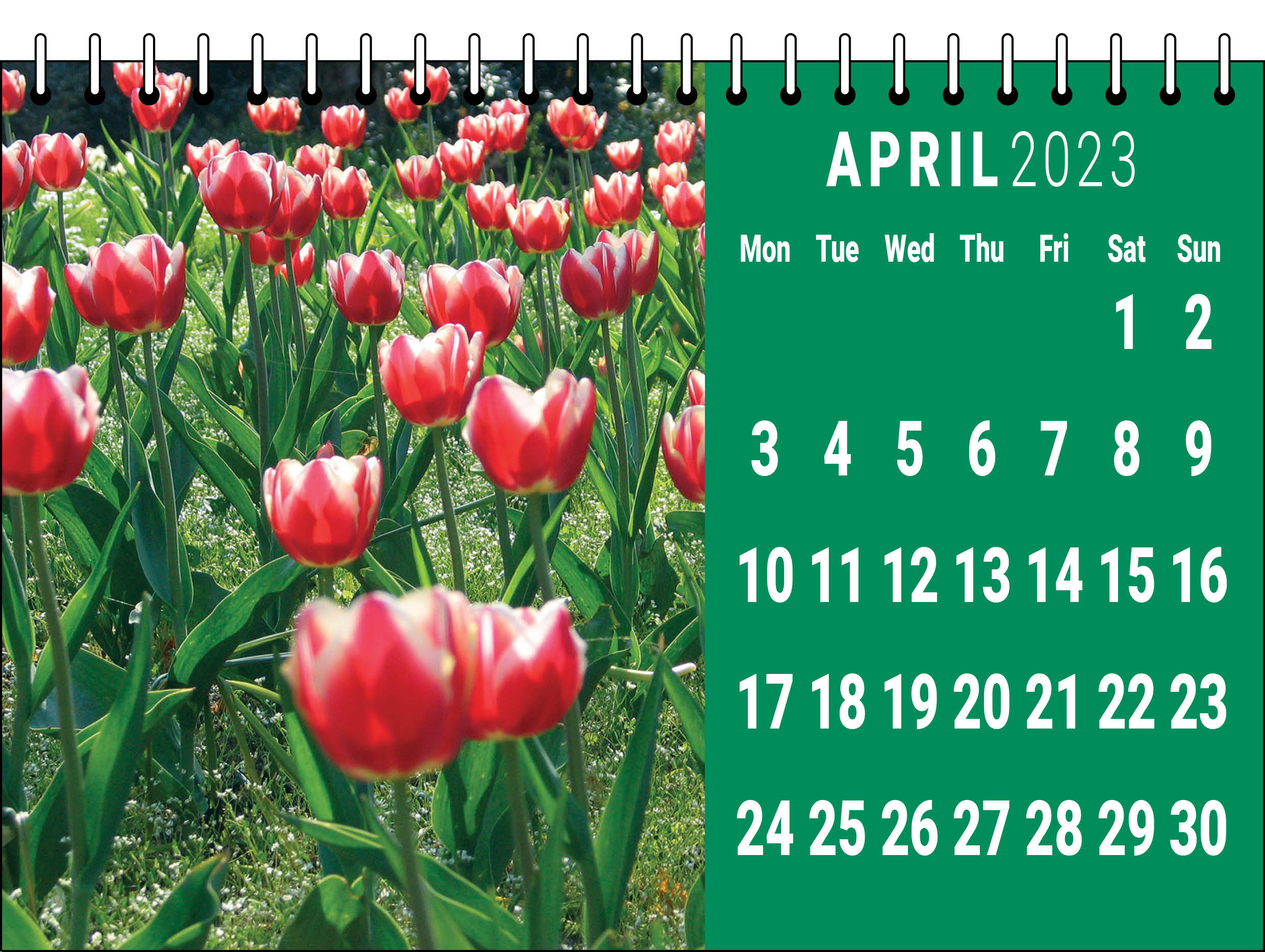 Picture of Desk Calendar D08 Green