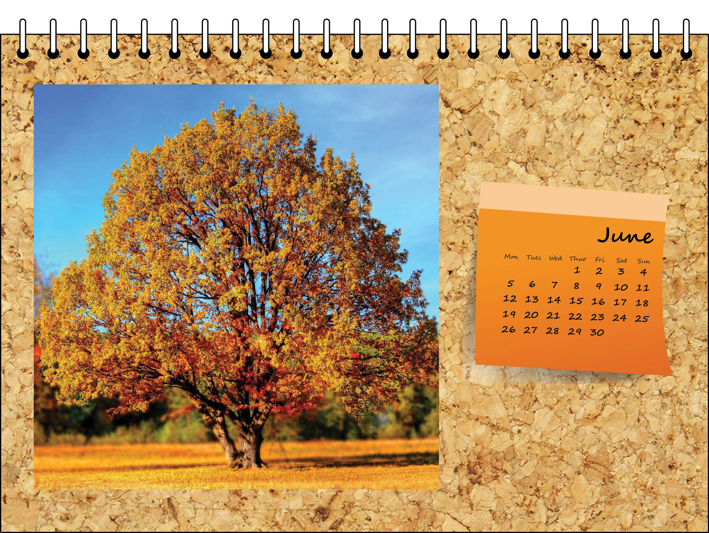 Picture of Desk Calendar D15 Orange