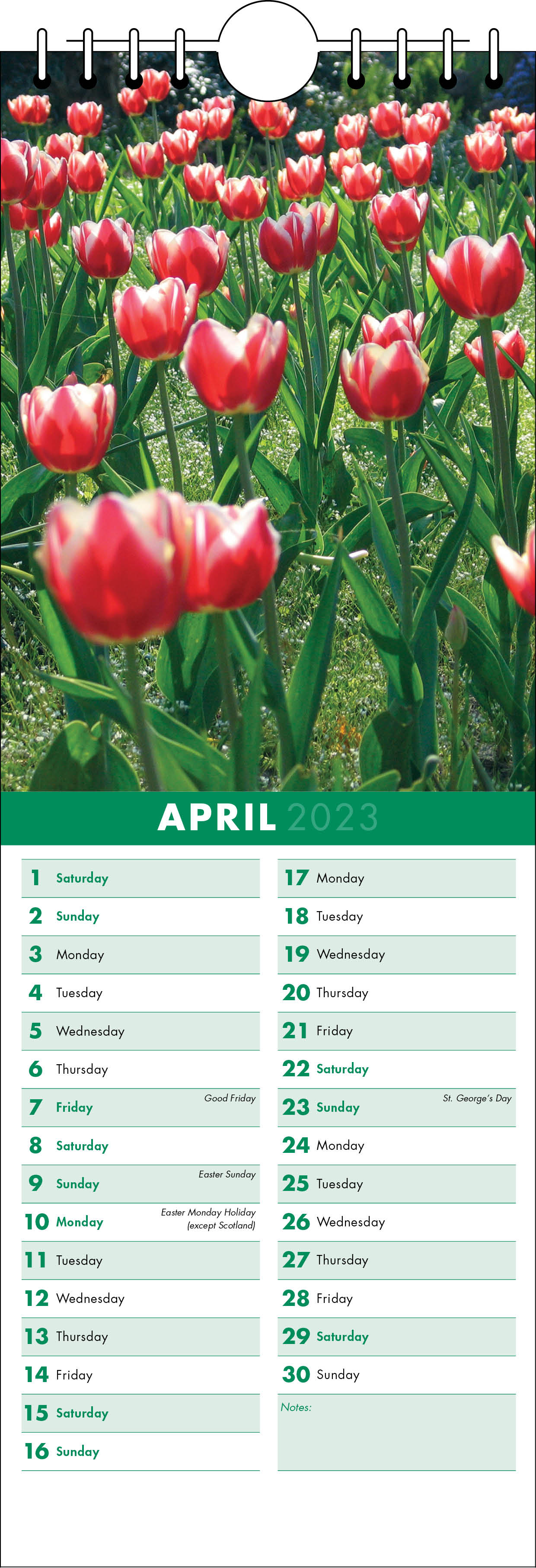 Picture of Kitchen Calendar K05 Green
