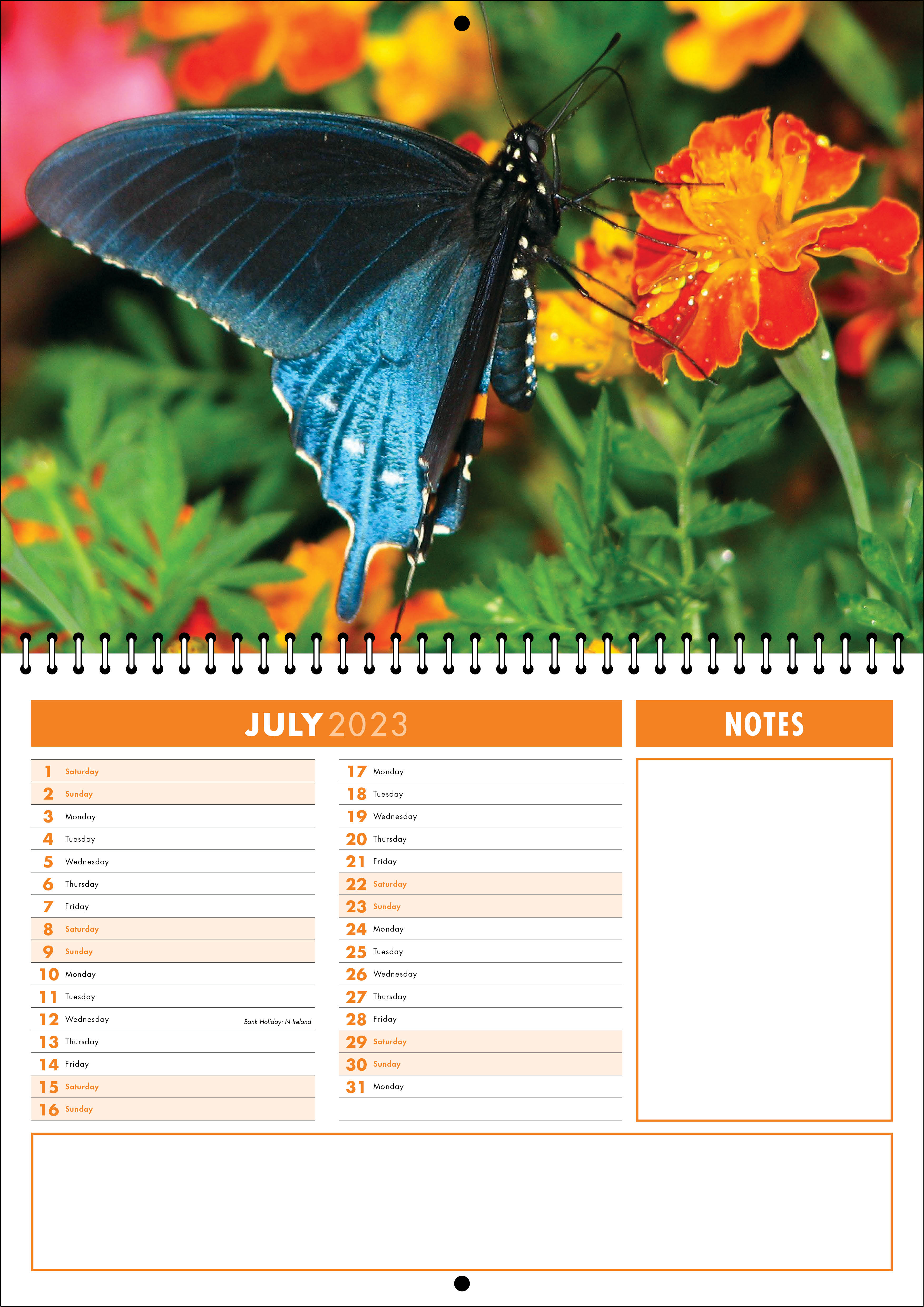Picture of Spiral Booklet Calendar F05 Orange