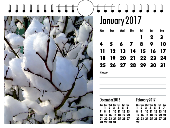 Picture of Spiral Calendar L01 Black