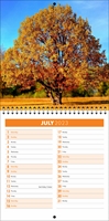 Picture of Square Spiral Booklet Calendar QF03 Orange