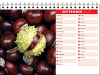 Picture of Desk Calendar D07 Red