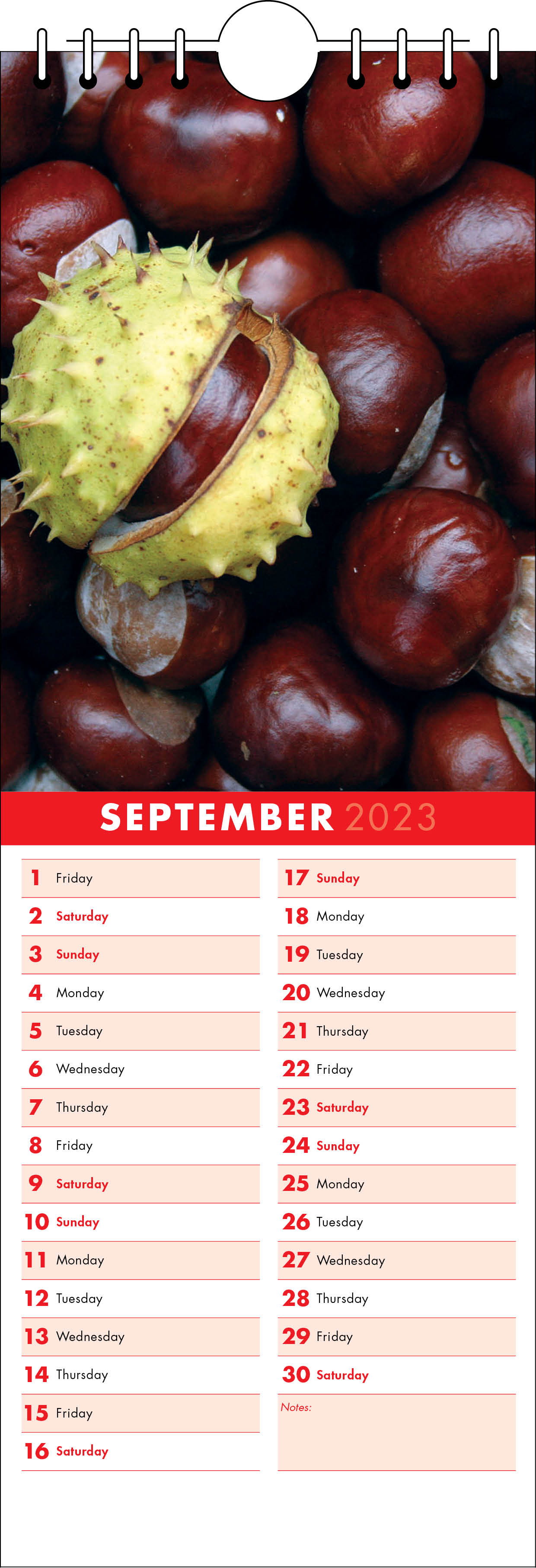 Picture of Kitchen Calendar K05 Red