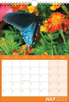 Picture of Spiral Calendar S17 Orange
