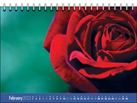 Picture of Desk Calendar D04 Blue