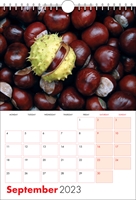 Picture of Spiral Calendar S08 Red