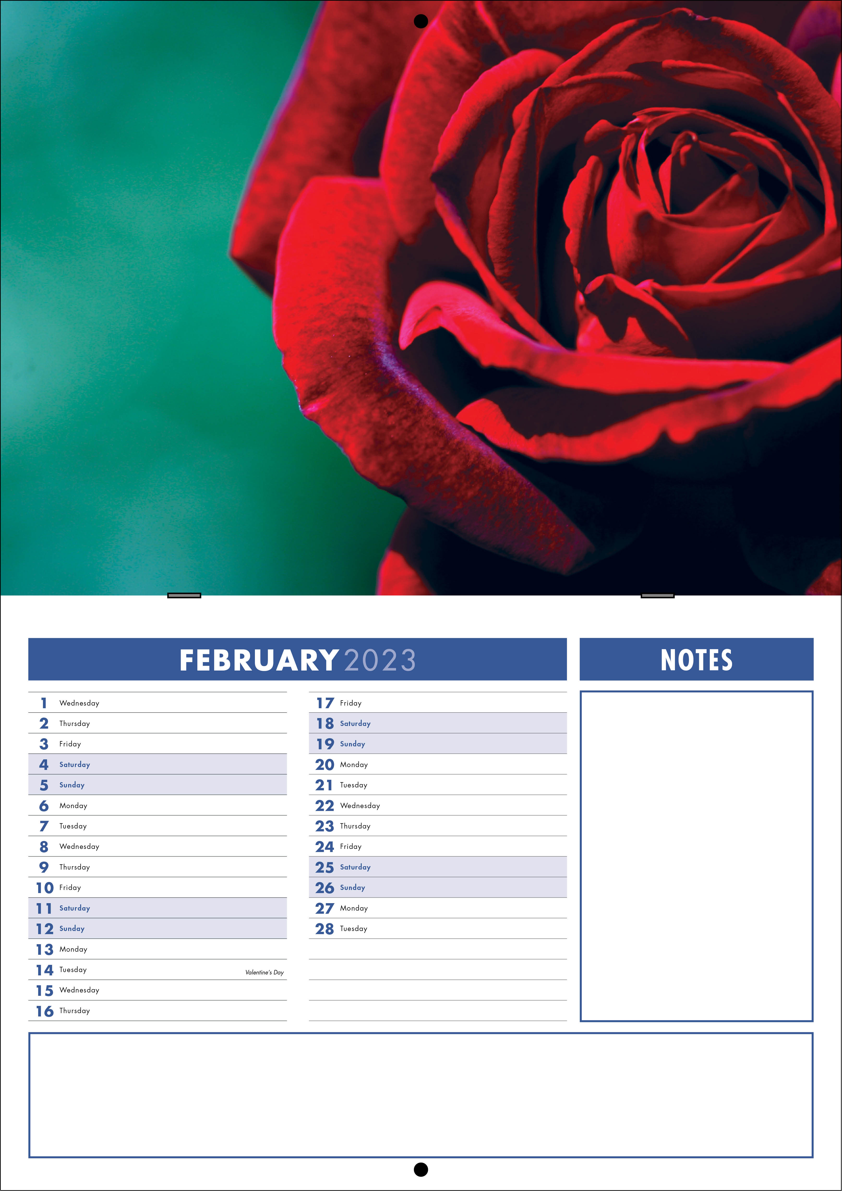 Picture of Booklet Calendar B05 Blue