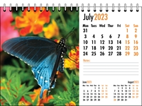 Picture of Desk Calendar D10 Orange