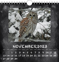 Picture of Spiral Calendar Q16 White