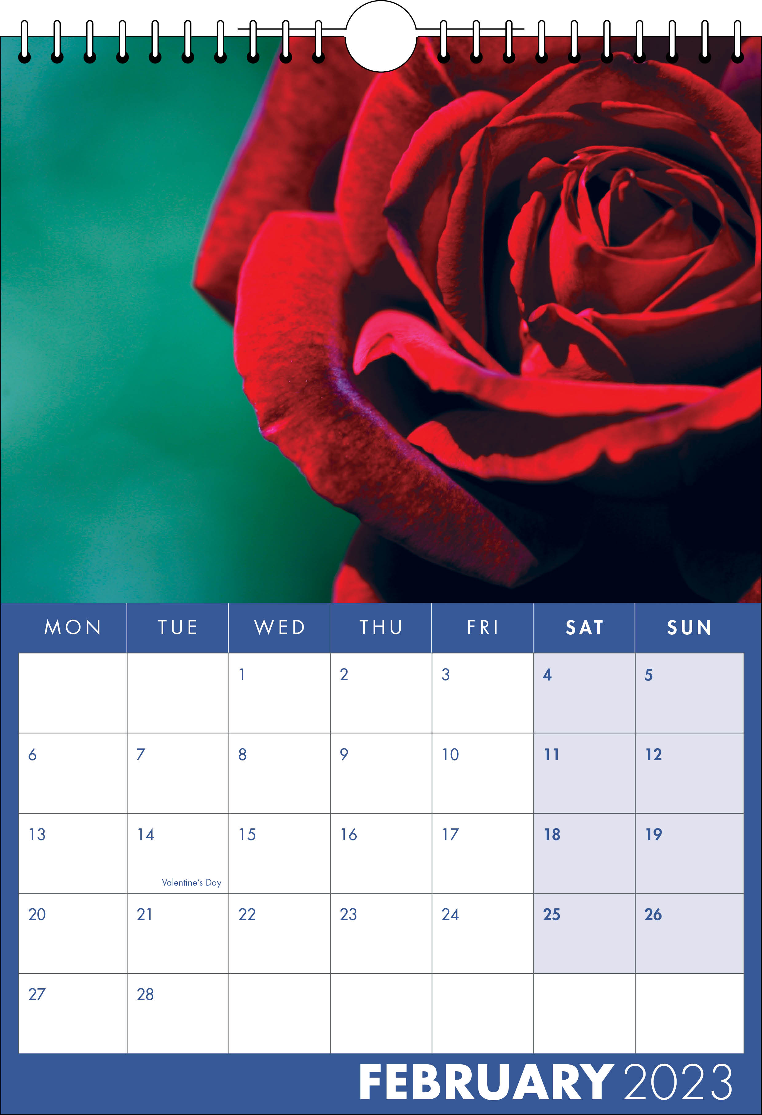 Picture of Spiral Calendar S17 Blue
