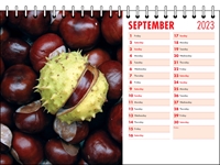 Picture of Desk Calendar D05 Red