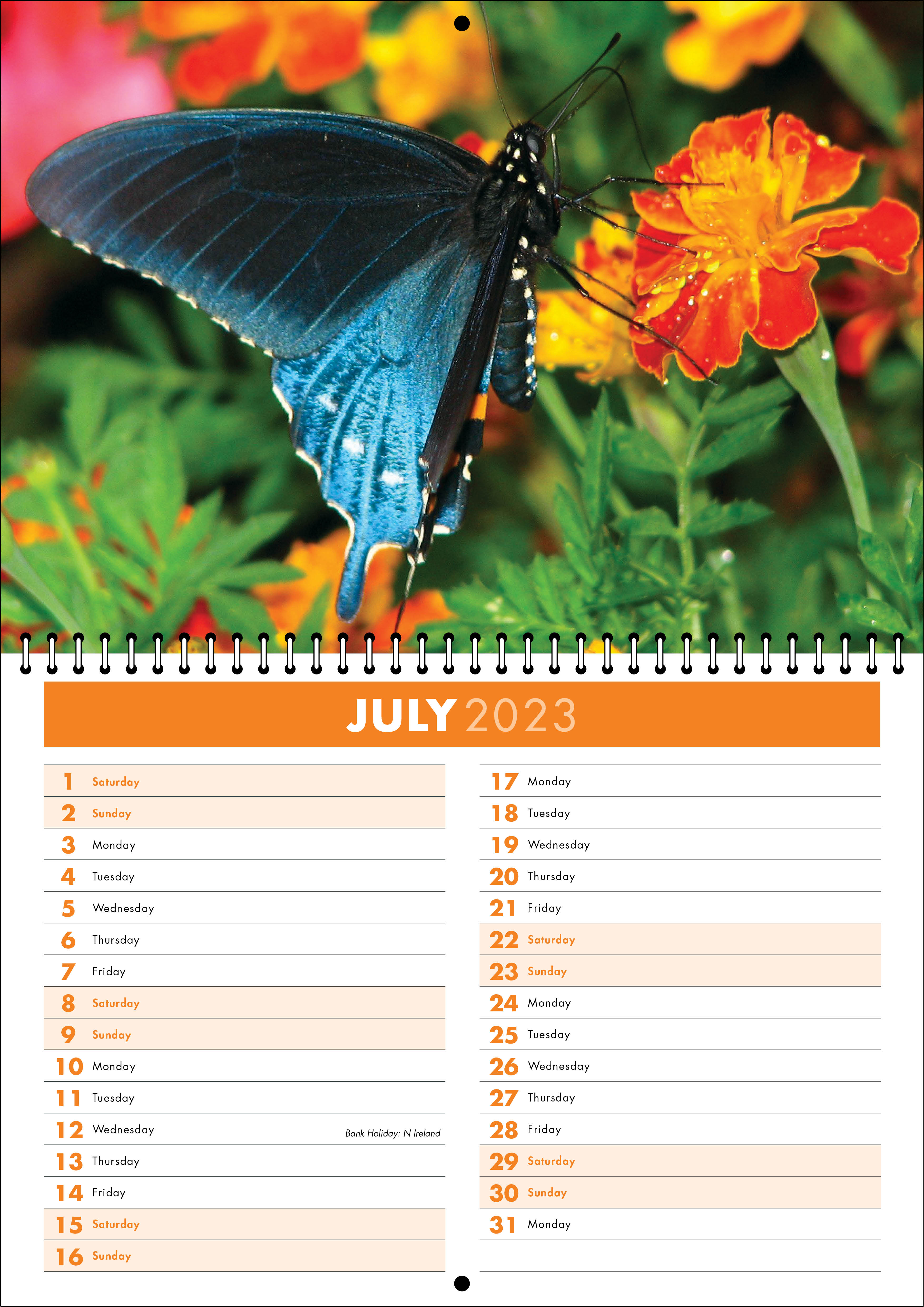 Picture of Spiral Booklet Calendar F06 Orange