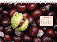 Picture of Desk Calendar D12 Red