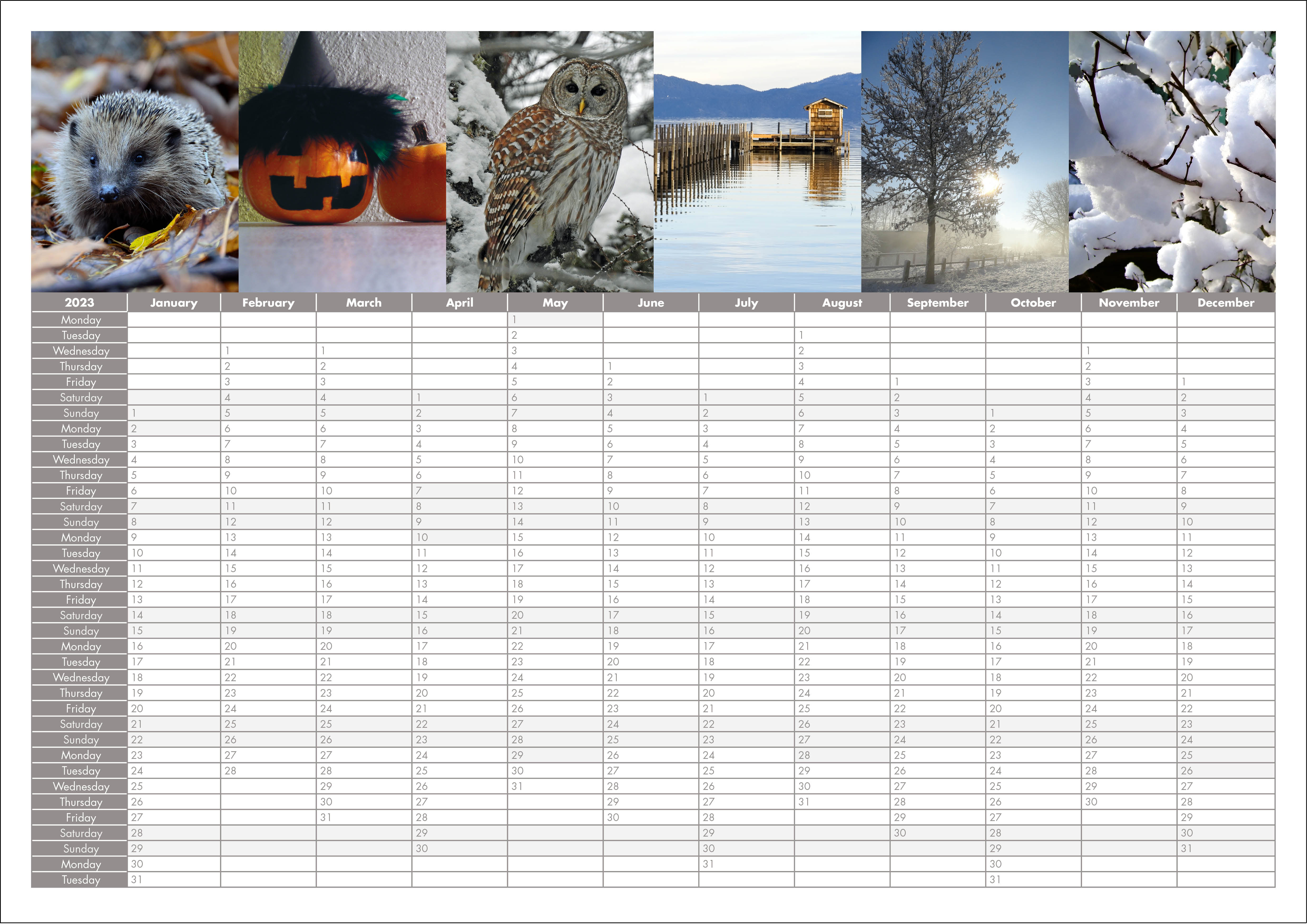 Picture of Yearplanner W09 Grey