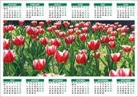Picture of Yearplanner W01 Green