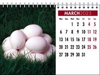 Picture of Desk Calendar D06 Burgundy