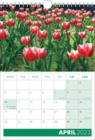 Picture of Spiral Calendar S18 Green