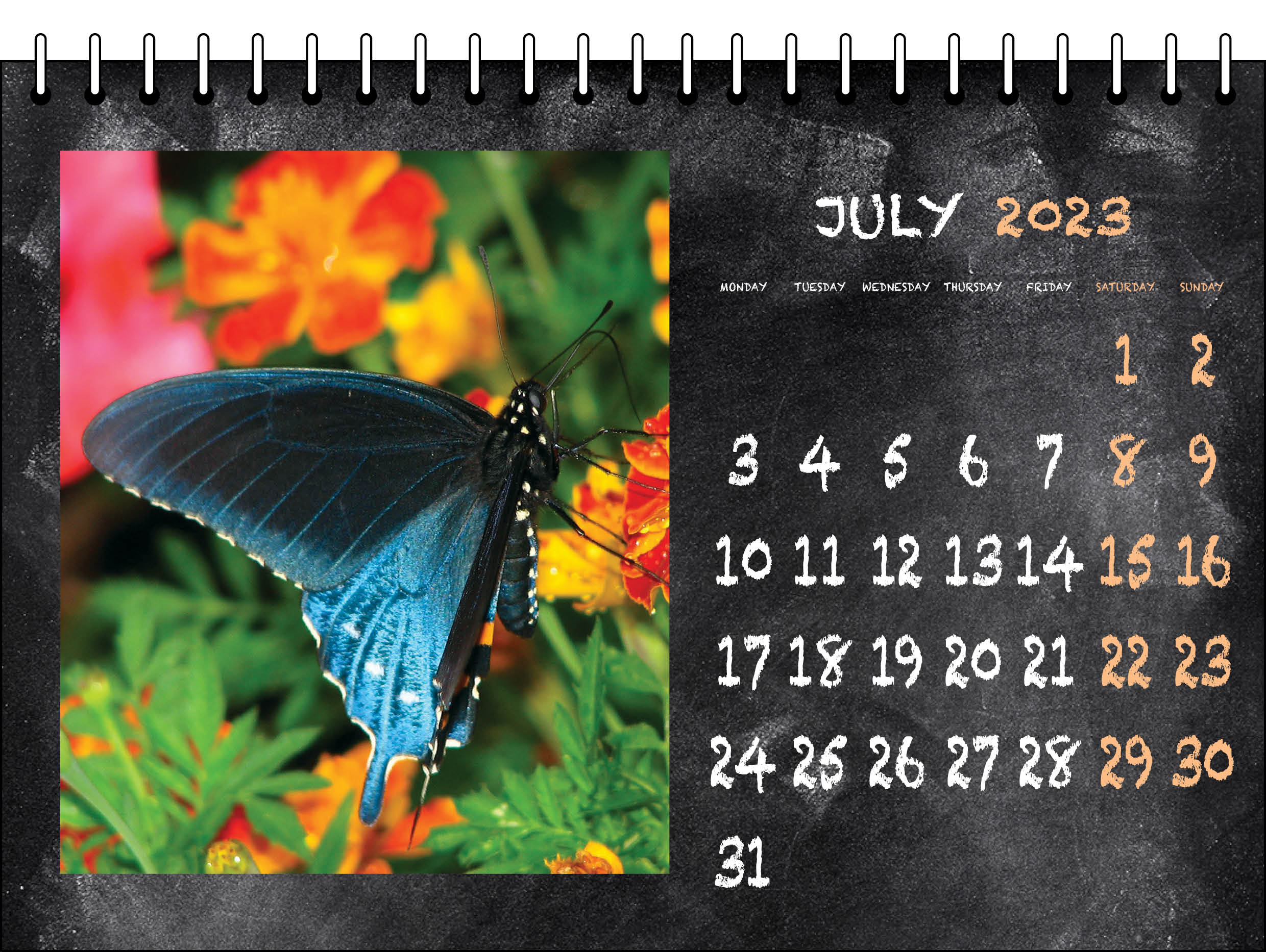 Picture of Desk Calendar D16 Orange