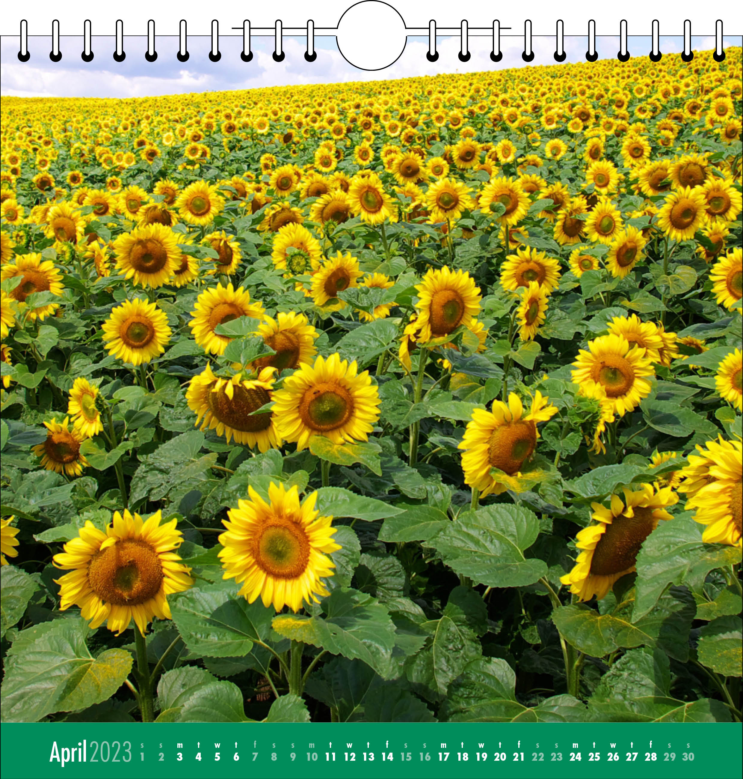 Picture of Spiral Calendar Q09 Green