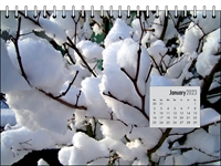 Picture of Desk Calendar D12 Black