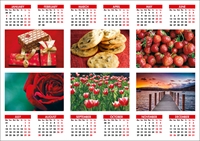 Picture of Yearplanner W03 Red