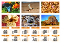 Picture of Yearplanner W06 Orange