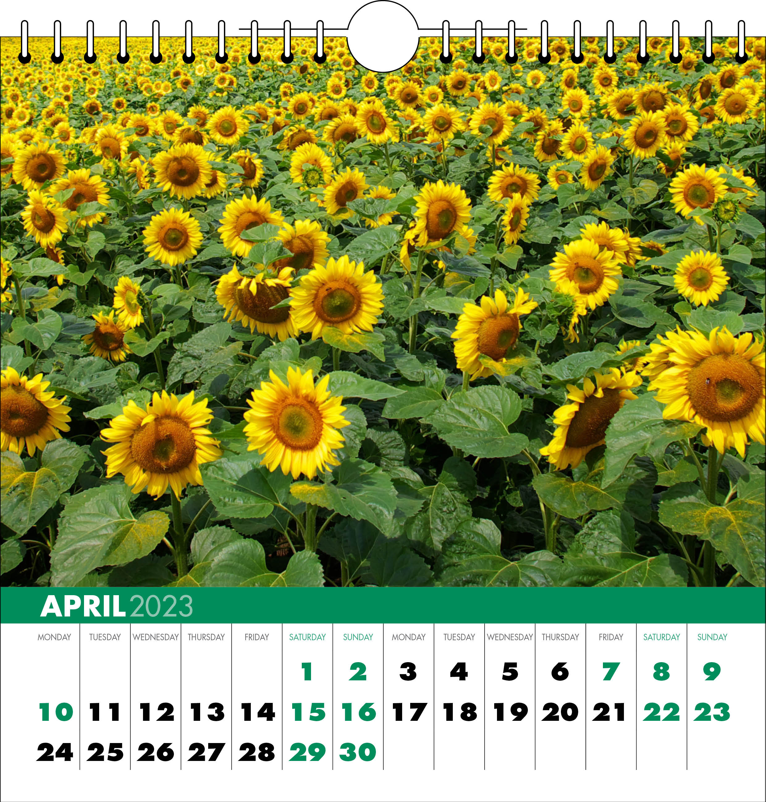 Picture of Spiral Calendar Q05 Green
