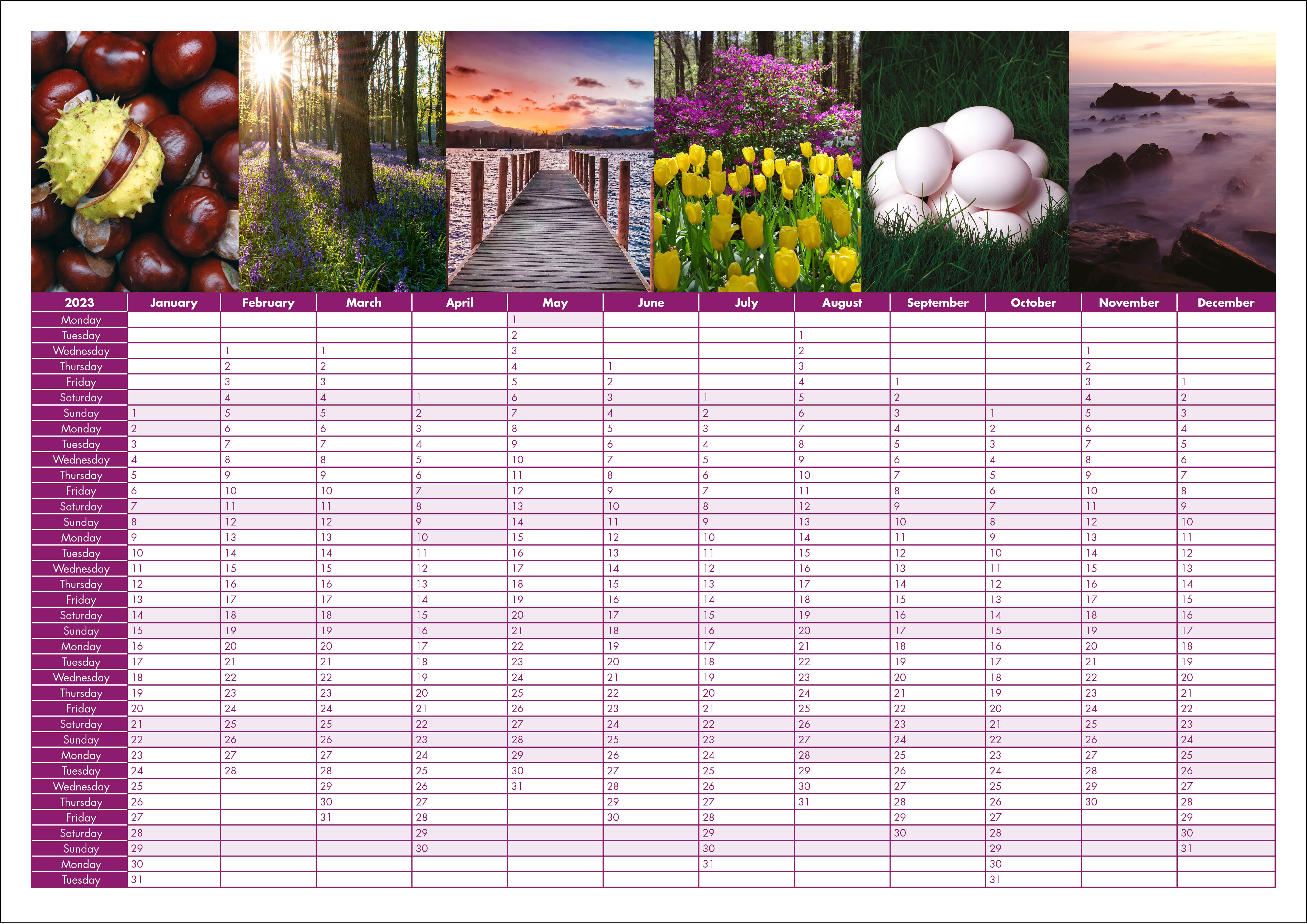 Picture of Yearplanner W09 Purple