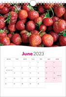 Picture of Spiral Calendar S21 Hot Pink