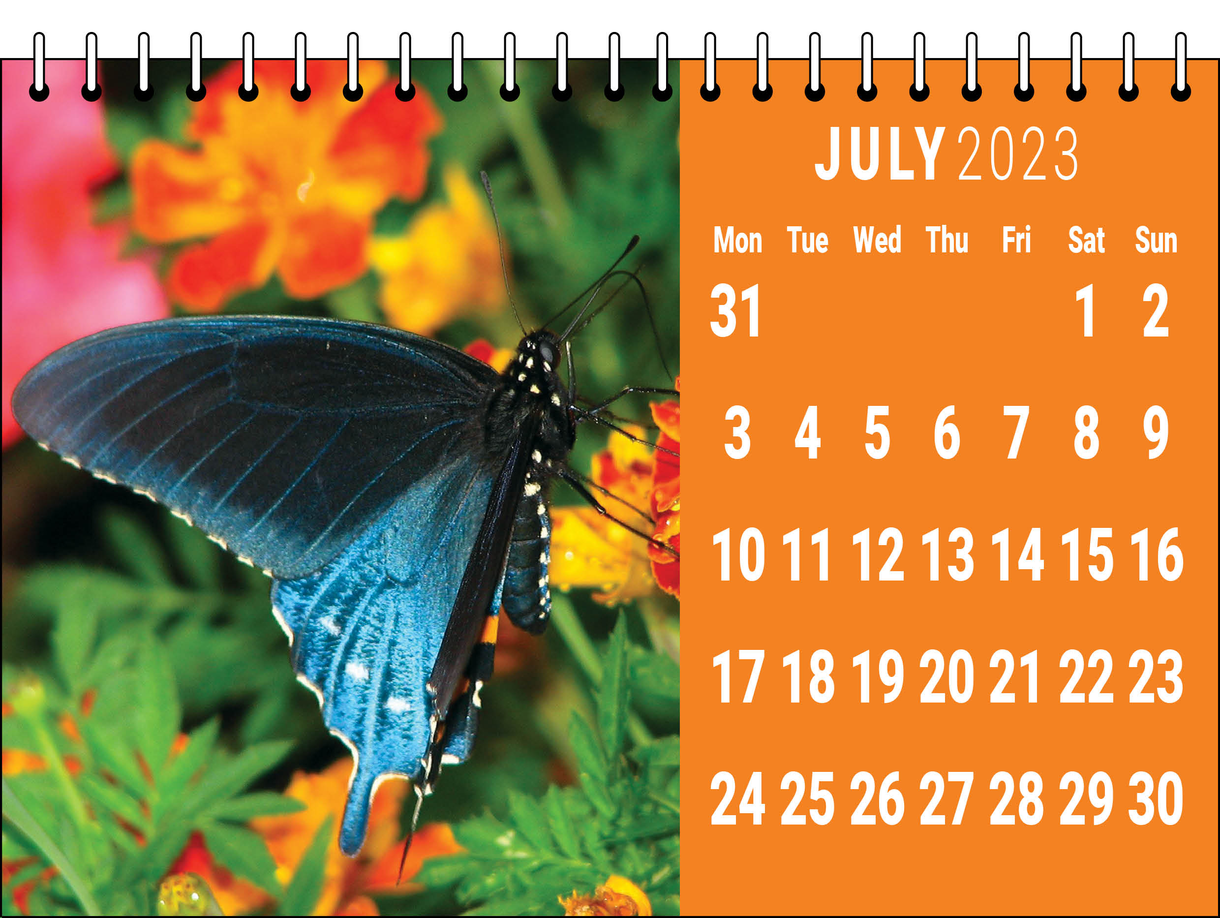 Picture of Desk Calendar D08 Orange