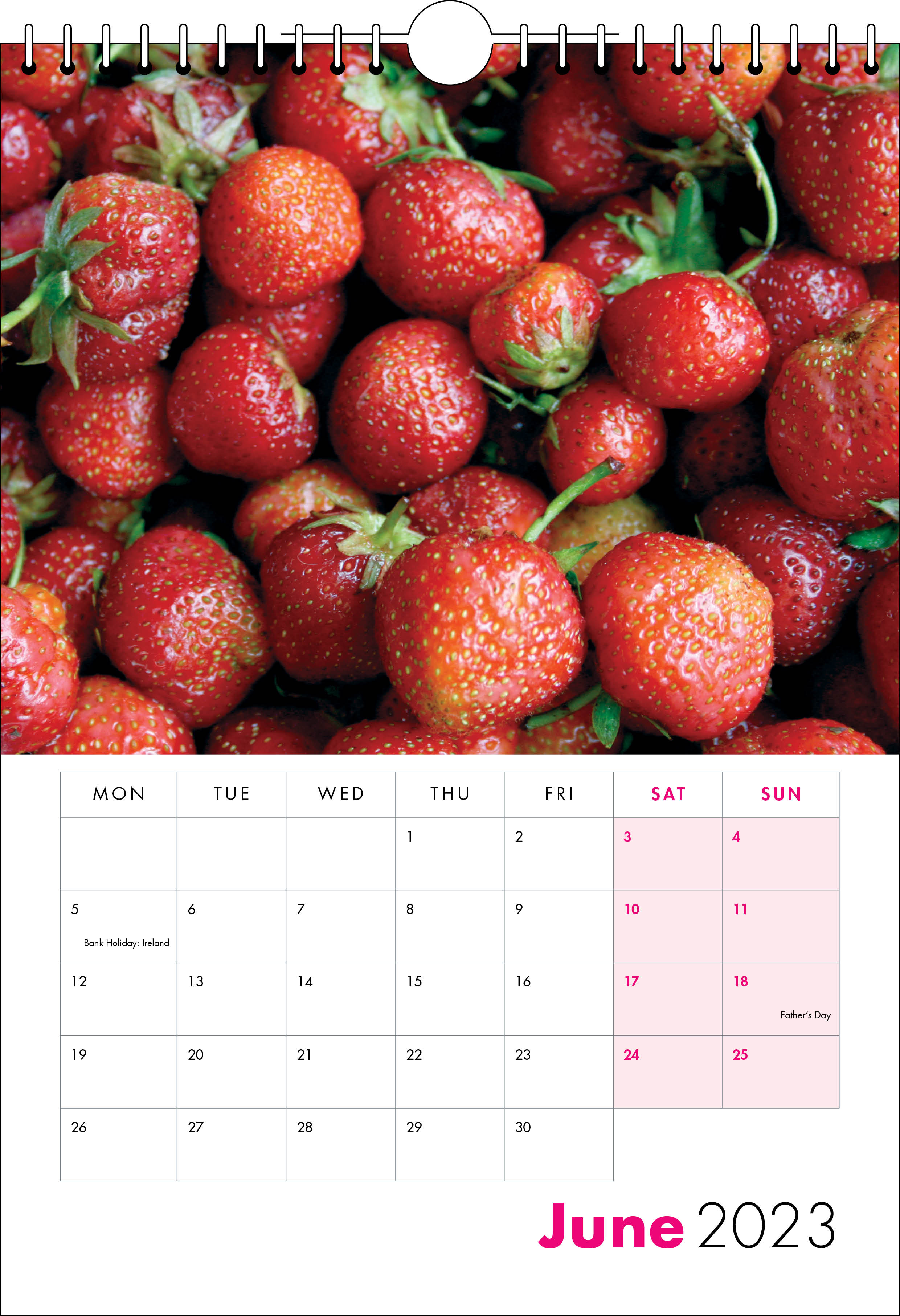 Picture of Spiral Calendar S13 Hot Pink