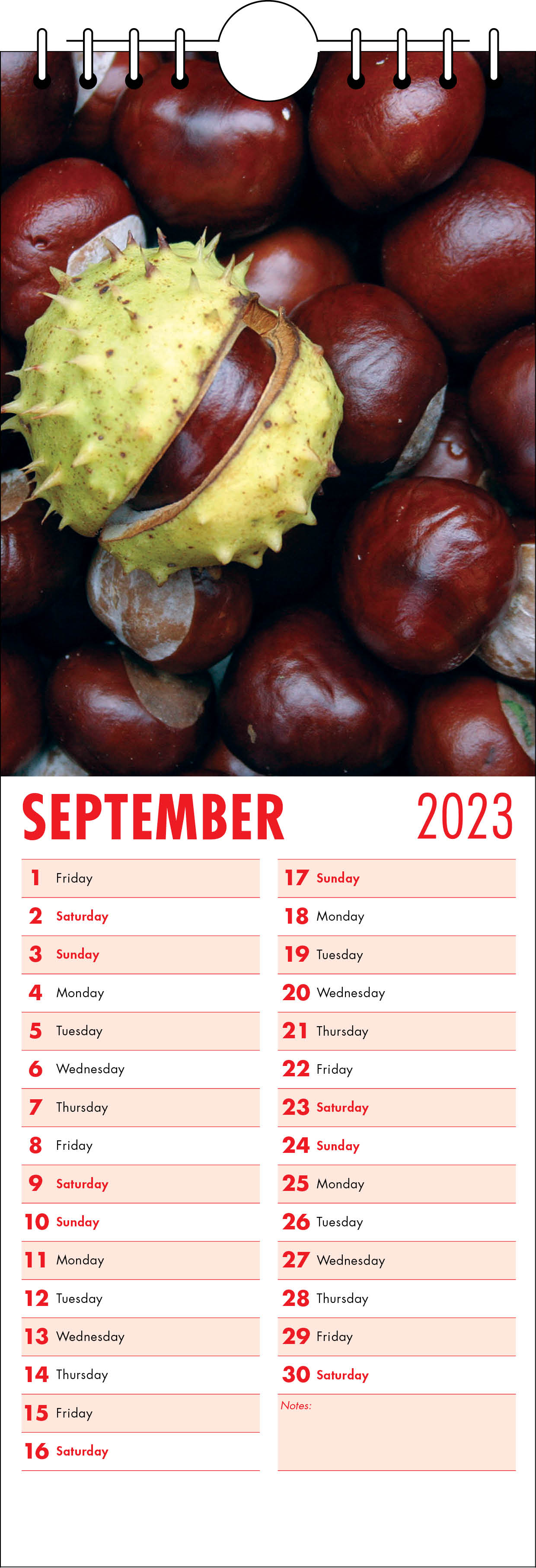 Picture of Kitchen Calendar K07 Red