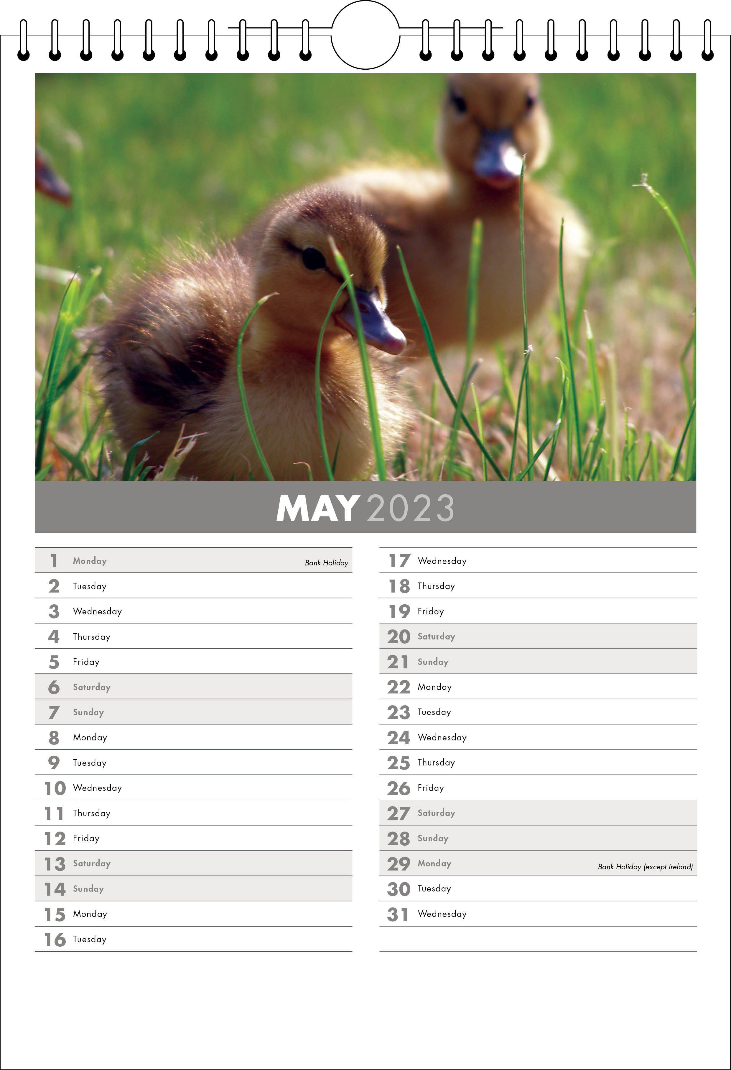 Picture of Spiral Calendar S03 Grey