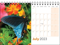 Picture of Desk Calendar D11 Orange