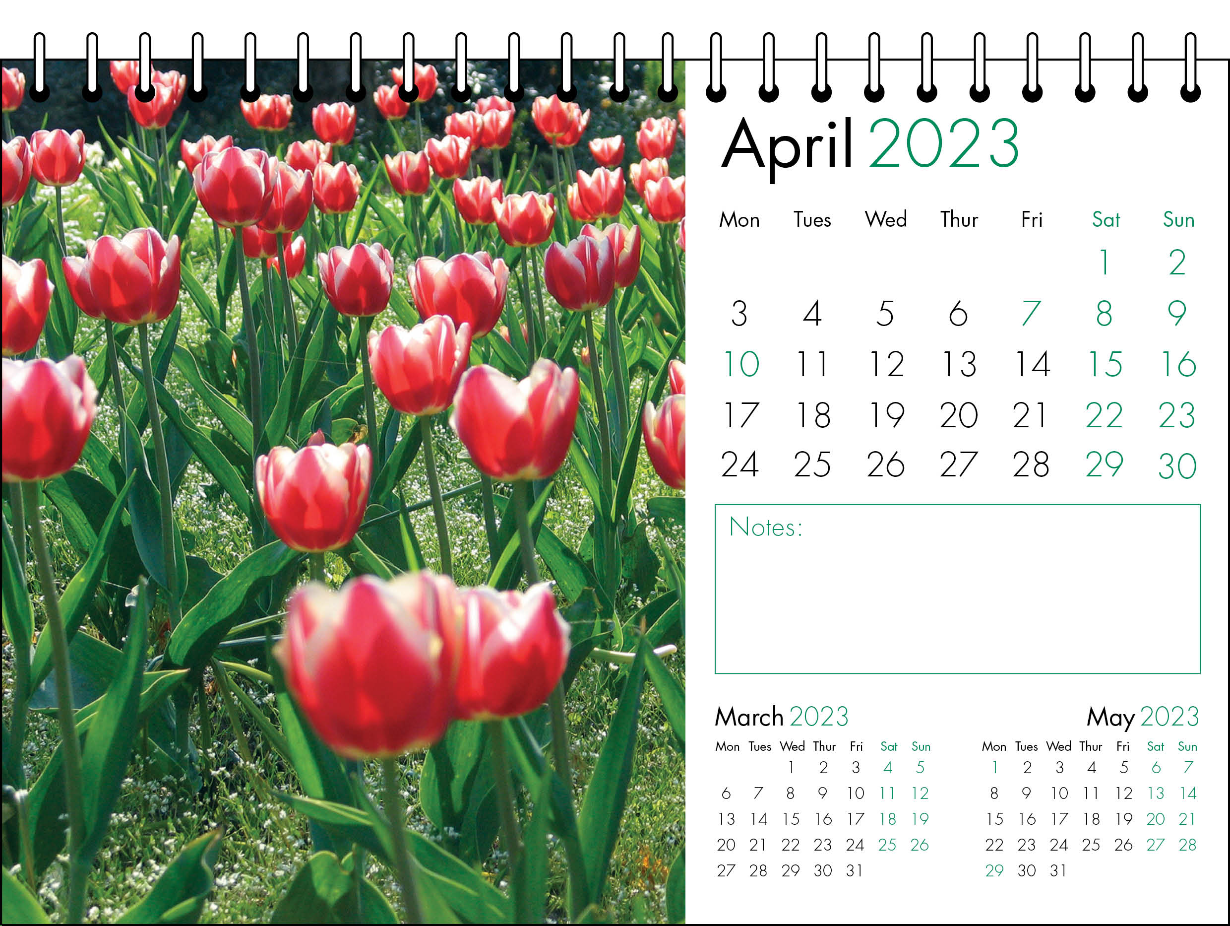 Picture of Desk Calendar D03 Green