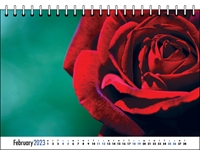 Picture of Desk Calendar D02 Blue