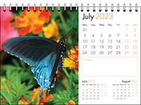 Picture of Desk Calendar D03 Orange